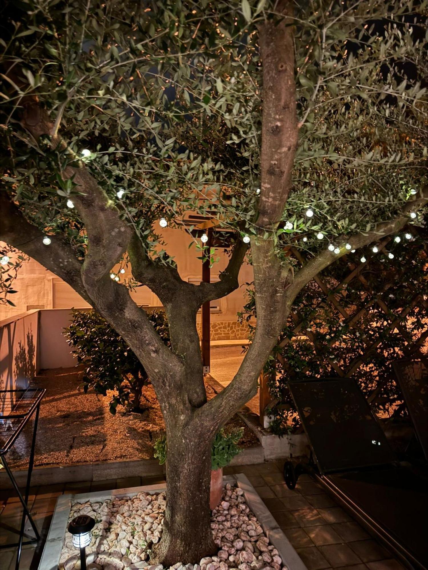 Apartments Noa Umag Exterior photo